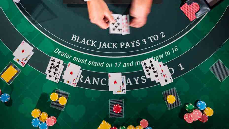 Navigating Live Blackjack Gameplay